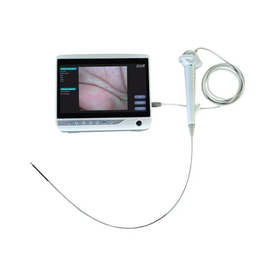 Newly developed products Single Use Veterinary Gastroscope Portable Bronchoscope Endoscope