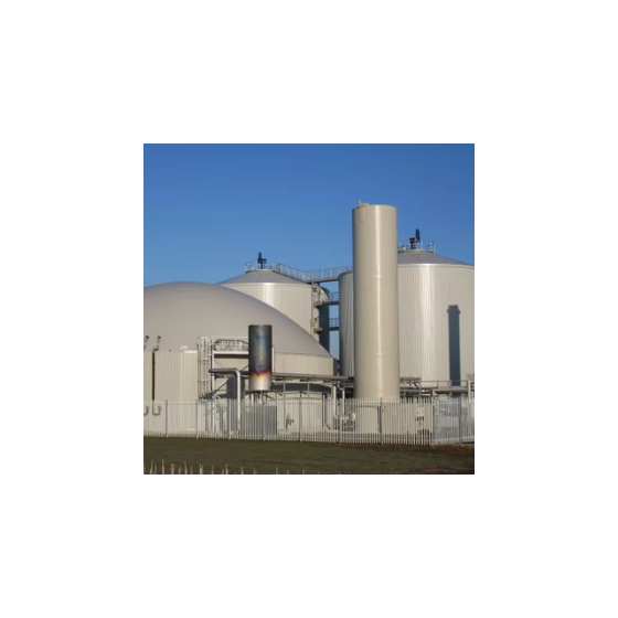 Customized Stainless Or Carbon Steel Digester Tanks With Powder Spraying For Water Treatment Machinery